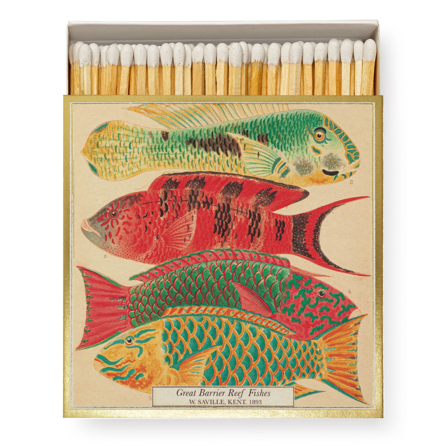 Archivist Matches | Fish | Coming Soon