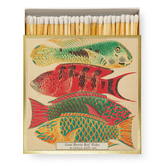 Archivist Matches | Fish | Coming Soon