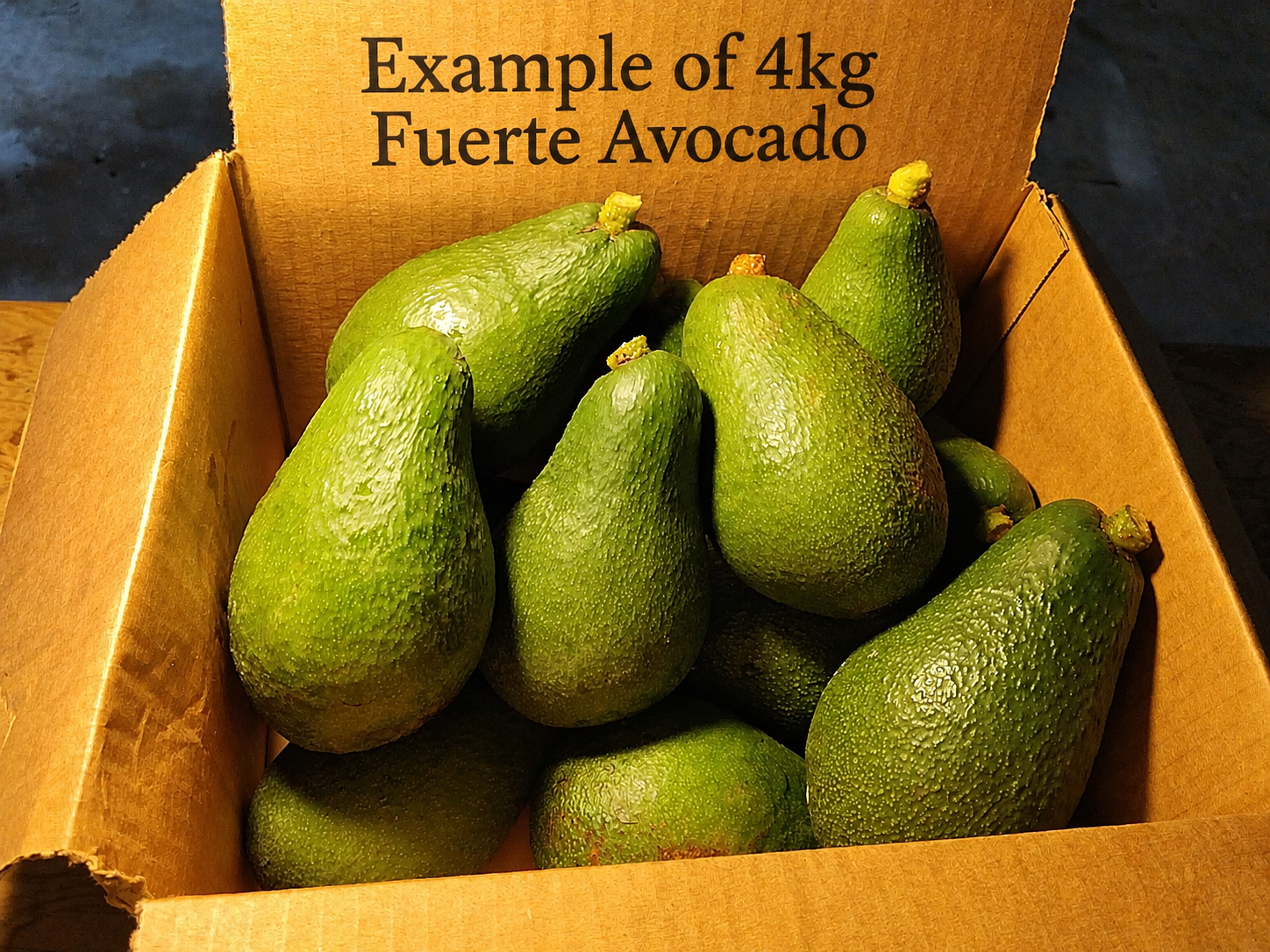 Box of green avocados with text indicating weight and type.