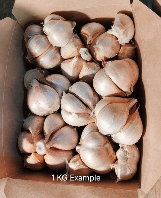 NZ Elephant Garlic | Spray-free, organically grown | 1KG